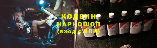 хмурый Алзамай