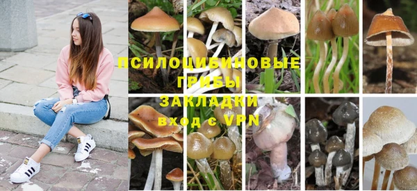 хмурый Алзамай