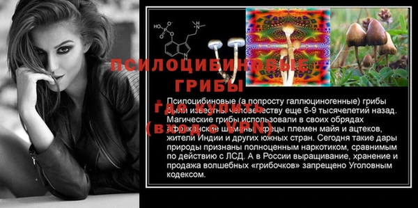 хмурый Алзамай