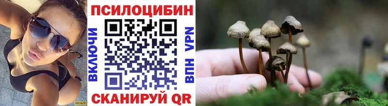 Галлюциногенные грибы Psilocybe  купить   Ветлуга 